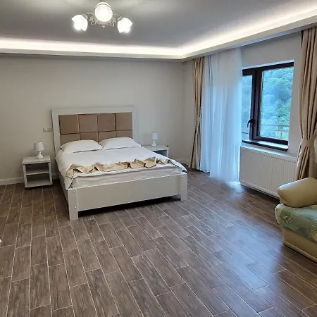 Pensiune Pensiunea Perla Trascaului 4*