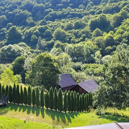 Pensiunea Perla Trascaului